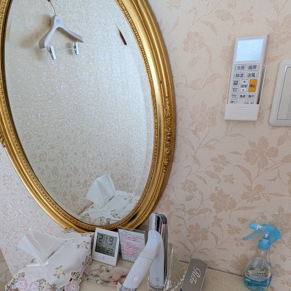 ReFa BEAUTECH DRYER S+